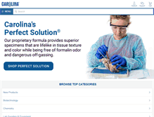 Tablet Screenshot of carolina.com